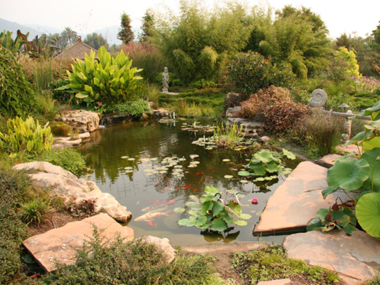 August pond maintenance