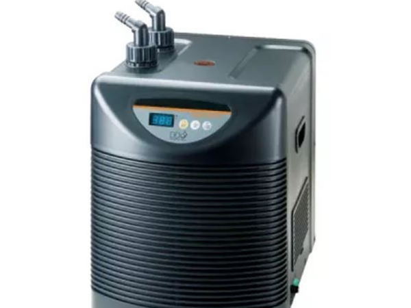 Do I need an Aquarium chiller?