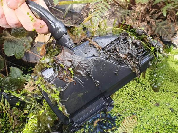 How to clean a pond pump