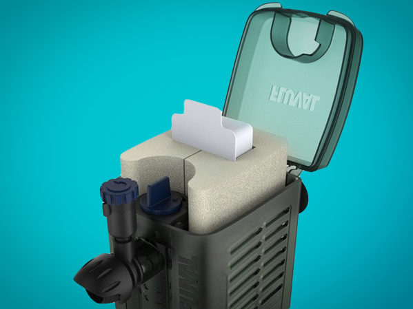 How to change the aquarium filter without losing bacteria