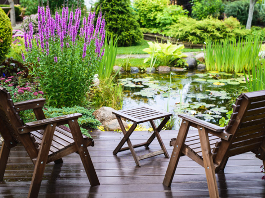 How to be a better pond keeper