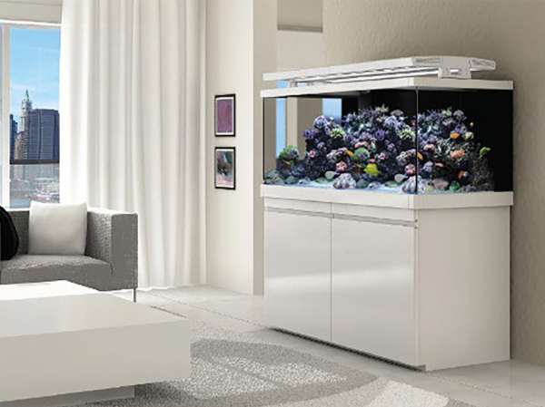 What should my pH be in a saltwater tank?
