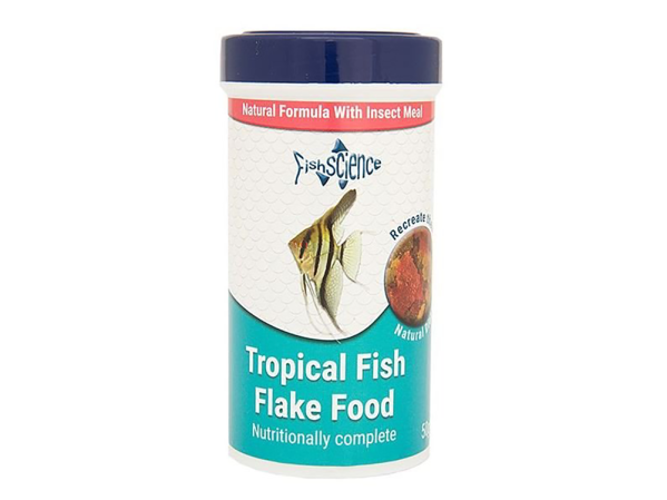 Fish feeding advice – how, how much and how often?