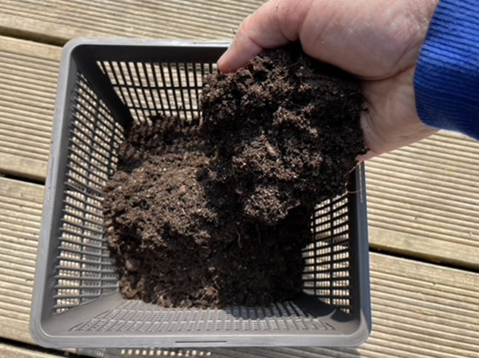 How to set up a pond plant kit
