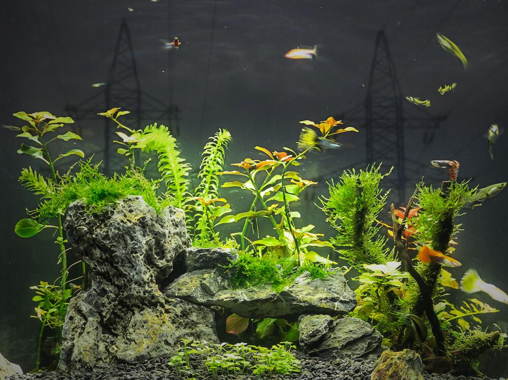 How much electricity does an aquarium use?
