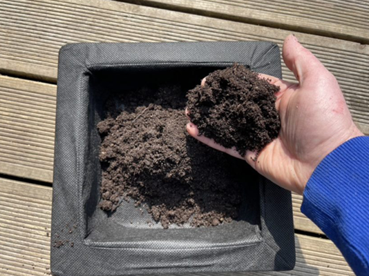 Setting up a floating pond plant kit