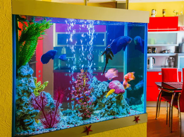 Creating a themed aquascape
