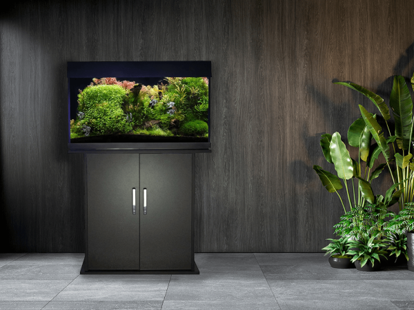 How To Choose The Right Aquarium For Tropical Fish