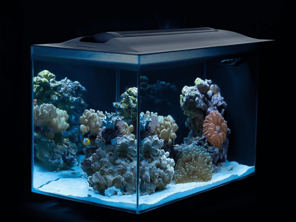 How To Set Up A Nano Reef Tank