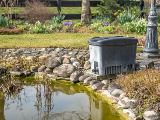 Spring pond care