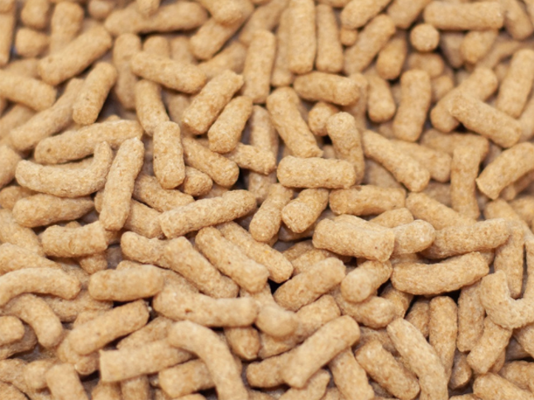 When should I start to feed Wheatgerm?