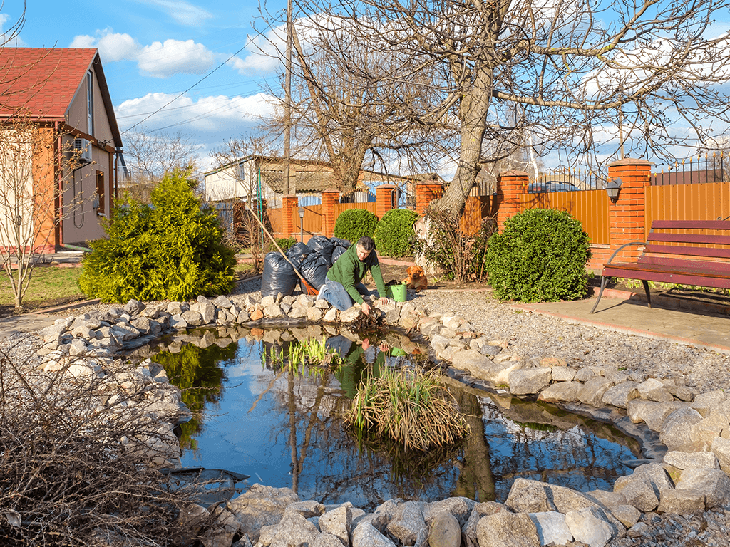 How To Clean A Pond Without Draining It